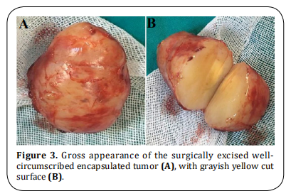 Figure 3.  